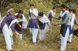 National Service Scheme volunteers clean campus of Government Girls Model Senior Secondary School, Sector 8, Chandigarh.