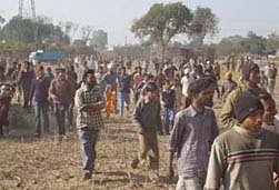 People run in panic after hearing news of a panthers escape.