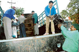 MC staff take away goods during the ongoing anti-encroachment drive in Sector 22, Chandigarh on Saturday. 