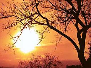 The setting sun casts one of the many hues from its palette over the evening sky in Chandigarh
