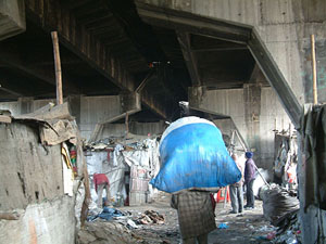 A colony of illegal Bangladeshi migrants has come up under the railway overbridge, adjacent to the BSFs Intelligence Office, Amritsar.