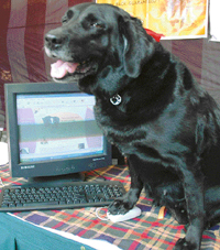 Diva, a labrador, launches a website on dogs at Sector 17 in Chandigarh on Sunday.