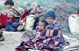 Finding it difficult to cope with the cold wave, these kids try their best to keep themselves warm in Ludhiana on Monday