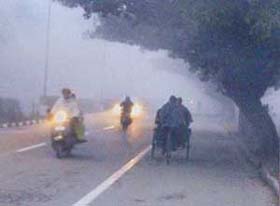 A view of foggy morning at Madhya Marg, in Chandigarh