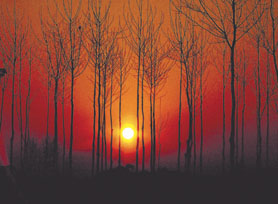 The Sun sets on the banks of the Yamuna