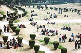 For some, it was time to bask in the sun on the Panjab University campus in Chandigarh on Wednesday. 
