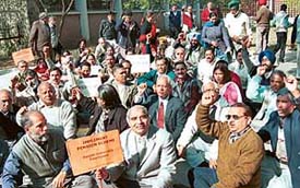 Members of the joint action committee of Panjab University protest in front of the Vice-Chancellors office in Chandigarh on Wednesday. 