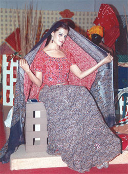 A model displaying dyed sarees at a stall in Tie and Dye Handloom Expo, organised by Association of Corporation & Apex Societies of Handlooms, at Pragati Maidan in the Capital.