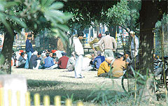 Gamblers at a public park in the Urban Estate in Ludhiana. 