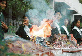 The model of a volcano on display at Greenland Senior Secondary School in Ludhiana on Sunday.