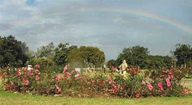 A rainbow forms in the sky over the trees at Rose Garden in Chandigarh on Monday.