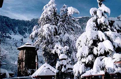 A view of the snow-covered Bharmani Temple and deodar trees after a heavy snowfall in the Bharmour area of Chamba district in Himachal Pradesh