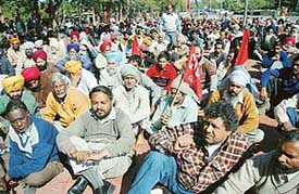 Members of the Joint Platform of Mass Organisations stage a dharna at Matka Chowk in Chandigarh on Tuesday