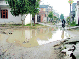 Stagnant water on a road in Sector 32-A, Ludhiana