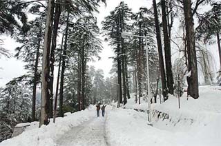 Tourists enjoy fresh snowfall at Patnitop