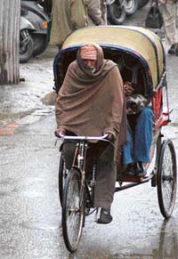 A rickshaw-puller on his daily grind in Ludhiana.