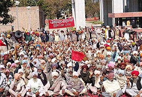 Punjab Khet Majdoor Sabha activists stage dharna in front of the DC office in Moga on Monday.