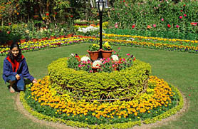 Dr Arunanshus residence in the PGI