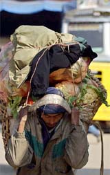 A Nepalese worker carries vegetables