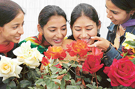 A rose by any name is still a rose:  Girls enjoy the beauty of roses at the Festival of Gardens in Sector 16, Chandigarh, on Friday.
