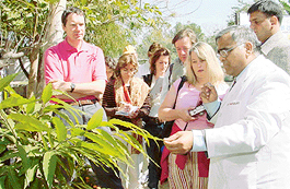 Dr Madan Gulati (extreme right), Deputy Director (Ayurveda), shows medicinal plants to a British team of doctors in Chandigarh on Friday.