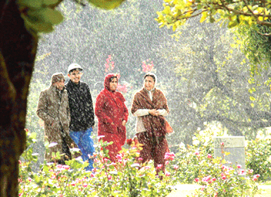 The photograph of Tribune lensman Pradeep Tewari that won a consolation prize in the professional category of a photography contest at the Festival of Gardens, which was inaugurated in Chandigarh on Friday.
