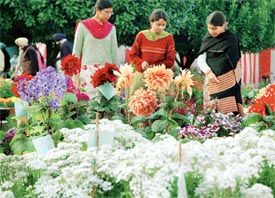 Visitors at a flower show on PAU campus on Tuesday