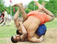 Grapplers in action at the rural sports tournament held at Sector 46 sports complex in Chandigarh