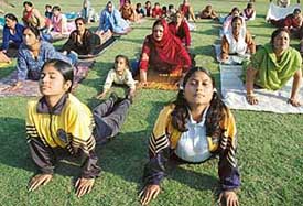 A view of the yoga camp being organised by the Gayatri Parivar in Sector 46, Chandigarh