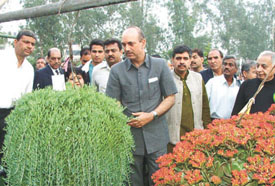 The Union Minister of Parliamentary Affairs, Mr Ghulam Nabi Azad, and MP Sandeep Dikshit during a flower show at Sanjay Lake near Mayur Vihar