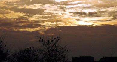 A cloudy horizon at dusk in Ludhiana on Saturday