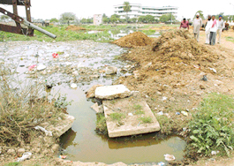 Sewage overflows at Mataur village, near Mohali.