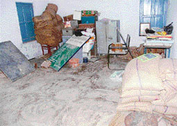 Wheat infested with rats excreta and dust taken out of the stock kept at the primary school of Shekh Daulat village