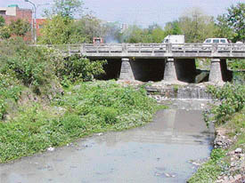 Sewage being discharged into the Singh nullah choe, which passes through Sector 12 Panchkula. 