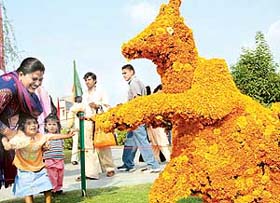 A kangaroo made with marigold flowers at the Guldasta flower festival in Phase 10, Mohali