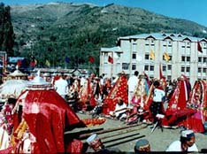 Hill gods kept at the Paddal Ground, Mandi, during the International Shivratri Fair on Sunday.