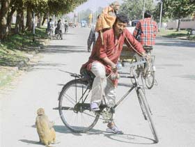 Photo by Karam Singh