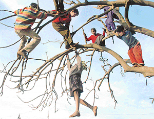 Basic Instinct: Sector 25 children enjoy their game at this playground in the sky in Chandigarh. 