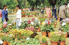Visitors admire the blooms at the annual flower show in Jawahar Garden