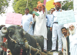 BJP MLAs Mohan Singh Bisht and Ramesh Vidhuri from East Delhi protesting against Delhi Chief Minister Sheila Dikshit at Vidhan Sabha in the Capital on Friday.