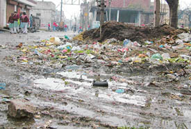 Residential colonies Dilbagh Nagar and Ekta Vihar are dotted with garbage dumps