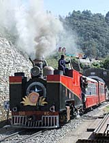 The 100-year-old steam engine, specially hired by a group of 22 British tourists to ride the 25-km stretch between Shimla and Kathlighat, arrives at Tara Devi railway station on Sunday