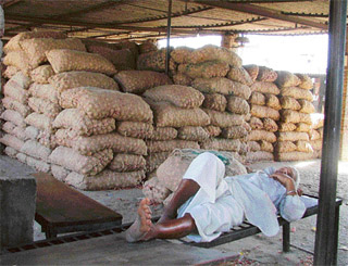 Mandis wear deserted look as fruit and vegetable commission agents observe bandh in Ludhiana