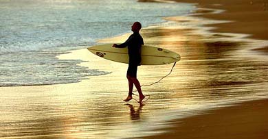 A surfer looks at waves breaking as he enters the surf holding his board at Sydney's Manly Beach