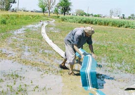 A worker drains out water from a flooded area at Gill village in Ludhiana on Friday