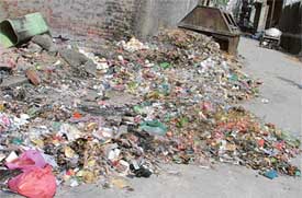 Garbage Woes: A dump of garbage near Society Cinema, Bhadaur House, Ludhiana, on Wednesday
