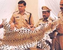 Delhi Police officers showing the leopard skin at a press conference in the Capital.