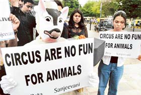 Members of People for the Ethical Treatment of Animals (PETA) demonstrate during a silent procession in Bangalore on Thursday to mourn the death of 21 animals in a fire in Mumbai recently