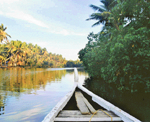 The placid waters