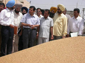 Mr Anurag Verma, DC, Ludhiana, visits grain market at Sahnewal on Monday